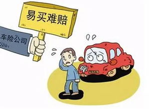 汽车保险赔了多少